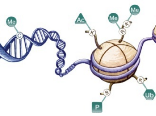Aiding the Exploration of the "Second Code" of Life Information: Epigenetics Solutions