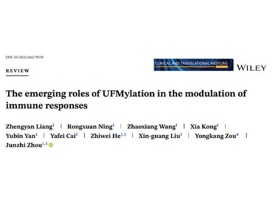 UFMylation: A New Hub in Immunoregulation, Zhou Junzhi's Team Unveils Potential Therapeutic Targets for Disease Treatment
