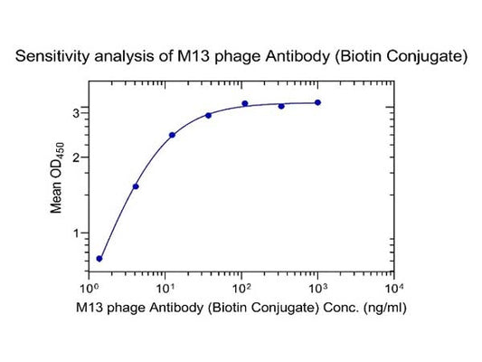 M13 Phage Detection: An Indispensable Component in the Screening of Novel Drugs via Phage Display Antibody Technology.