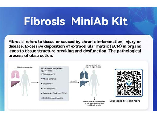 Starter Fibrosis Research Kit empowers your scientific research journey