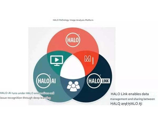 Abics Multicolor Analysis Service - HALO Pathology Image Analysis