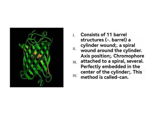 Optimizing GFP Protein Purification: STARTER Anti-GFP Nanobody Agarose Beads for Enhanced Efficiency