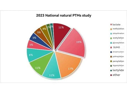 Starter Modified Antibodies: Empowering PTM Research with Precision and Versatility, Making Post-Translational Modification Studies Effortless and Comprehensive.