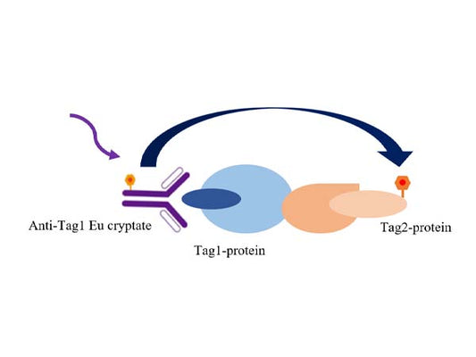 Introduction to the popular application of TR-FRET - drug discovery and development
