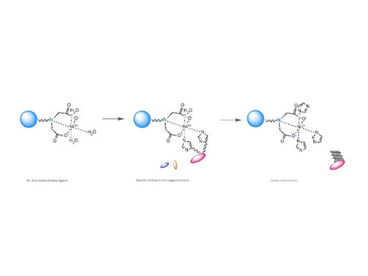 Labeled protein purification resin solutions