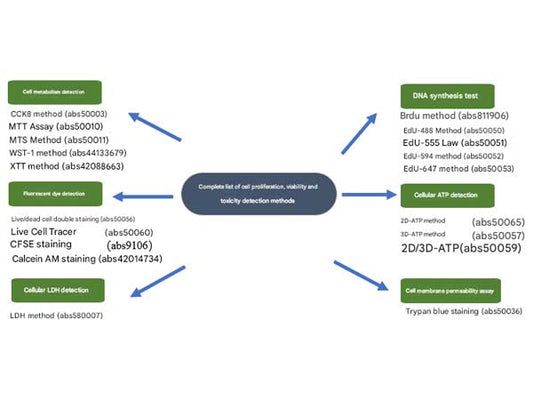 A comprehensive strategy for organoids & spheroids & cell proliferation, viability, and toxicity detection
