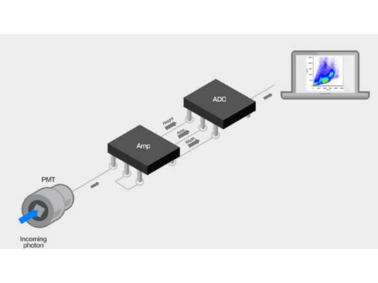 Flow cytometry starts from scratch