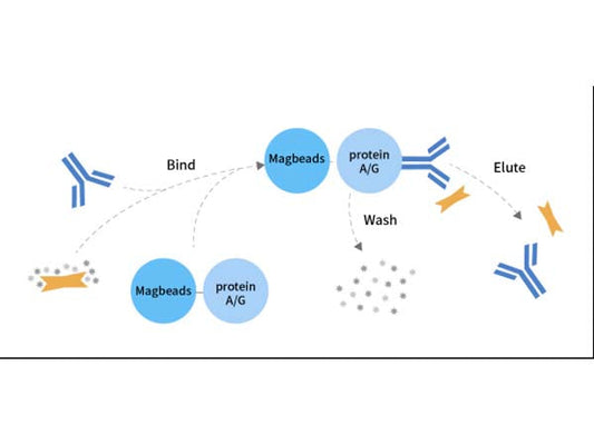 Molecular interaction studies