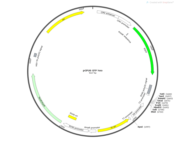 Green Fluorescent Protein: A Bioluminescent Revolution from the Deep Sea to the Lab