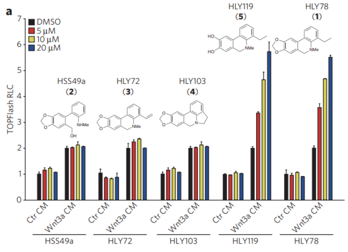 Dual Luciferase Reporter Gene Test Kit-Make Your Experiments More Easier!