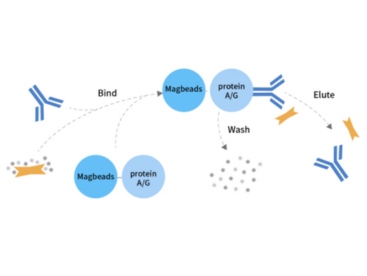 CoIP Experiment Frequently Asked Questions