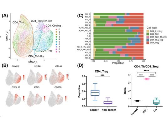 Boosting Cervical Cancer Research with the Absin Multicolor Kit