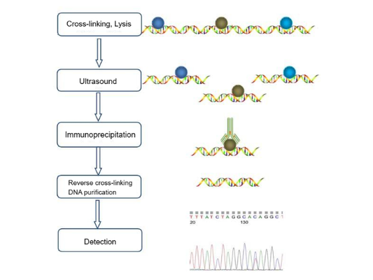 Research on Molecular Interactions