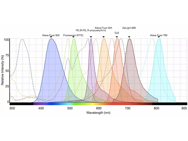 Precise Imaging, Multicolor Decoding: Deep Optimization of mIHC Dye Combinations
