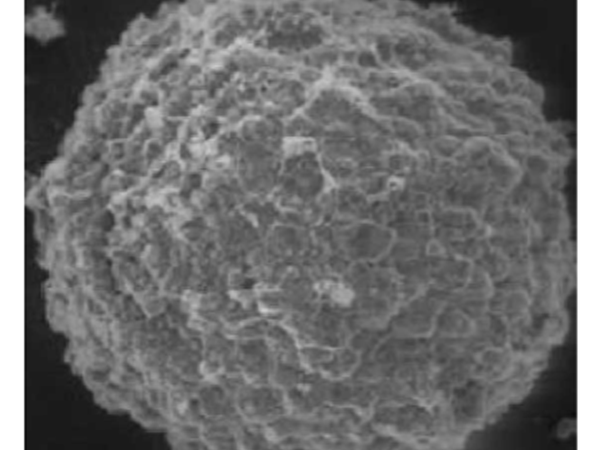 3D Tumor Spheroid Culture Solutions