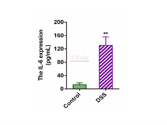 Guide for Inducing Colitis Organoids in Mice
