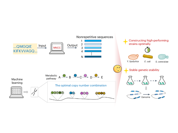 Two-Pronged Strategy: A Comprehensive Analysis of the Combined Application of mIHC and GeneScope Technologies