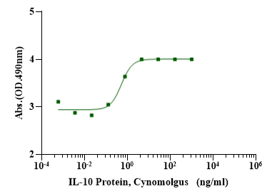 IL-10 His Tag Protein, Cynomolgus