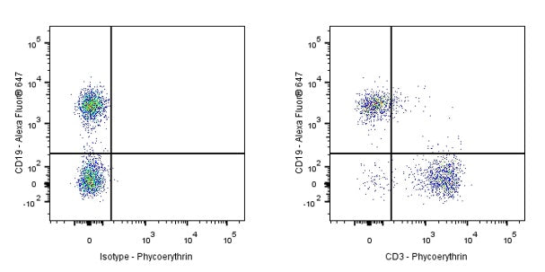 PE Rat Anti-Mouse CD3 Antibody (17A2)