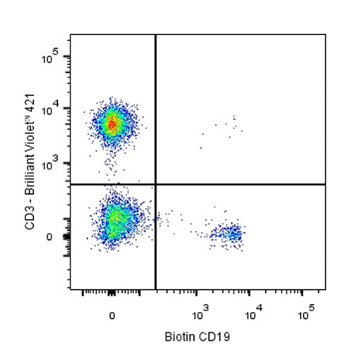 Biotin Mouse Anti-Human CD19 Antibody (S-R503-2)