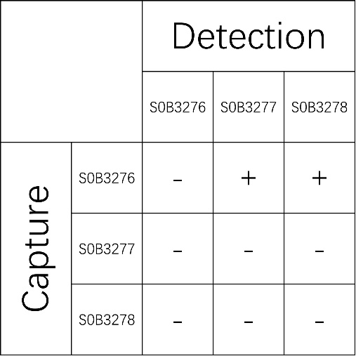 DKK-1 Recombinant Rabbit mAb (SDT-232-253)