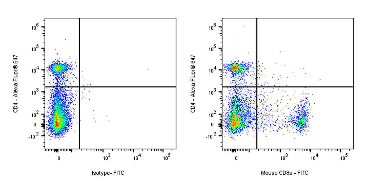 FITC Rat Anti-Mouse CD8α Antibody (53-6.7)