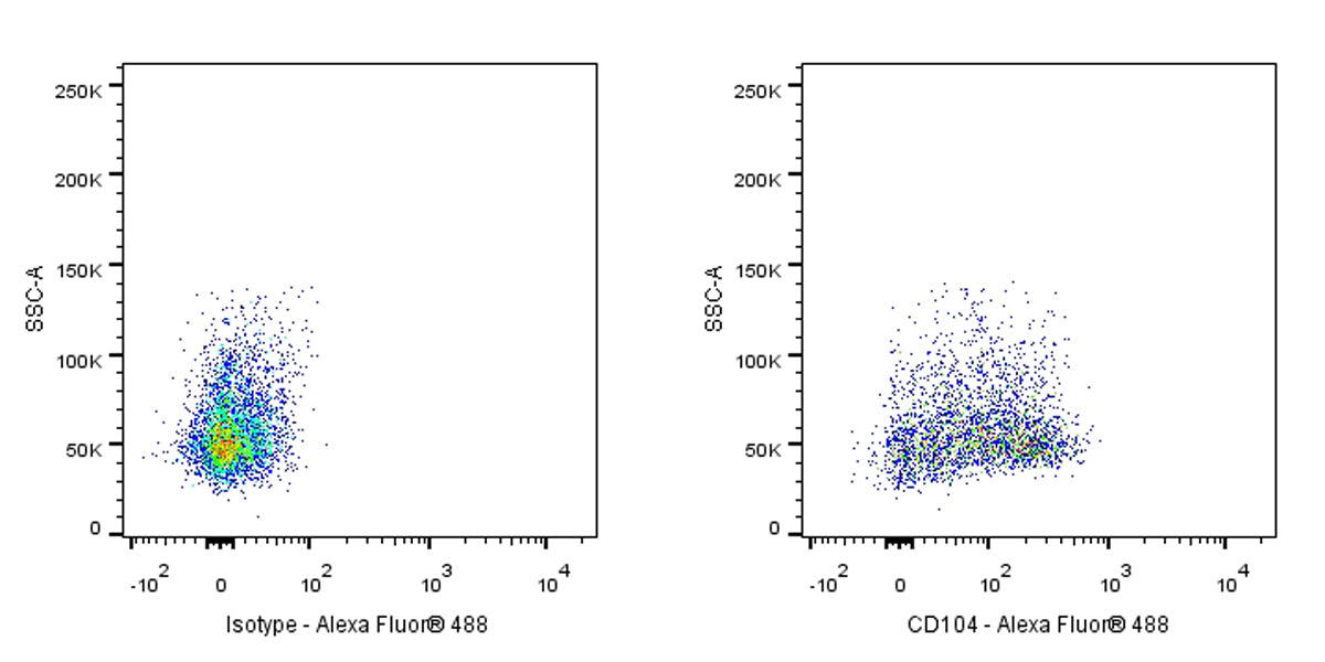 Rat Anti-Mouse CD104 Antibody (S-R716)