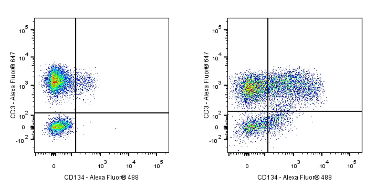 Mouse Anti-Human CD134 Antibody (ACT35)