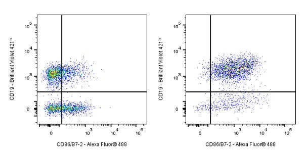 Alexa Fluor® 488 Rat Anti-Mouse CD86/B7-2 Antibody (GL-1)