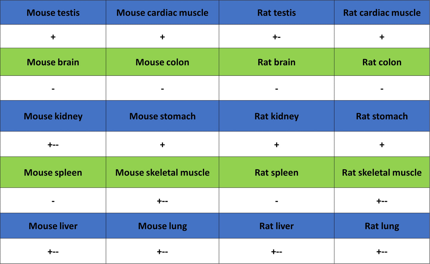 CHCHD10 Recombinant Rabbit mAb (S-4106-13)