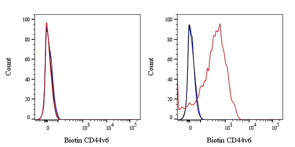 Biotin Rabbit Anti-Human CD44v6 Antibody (S-944-13)