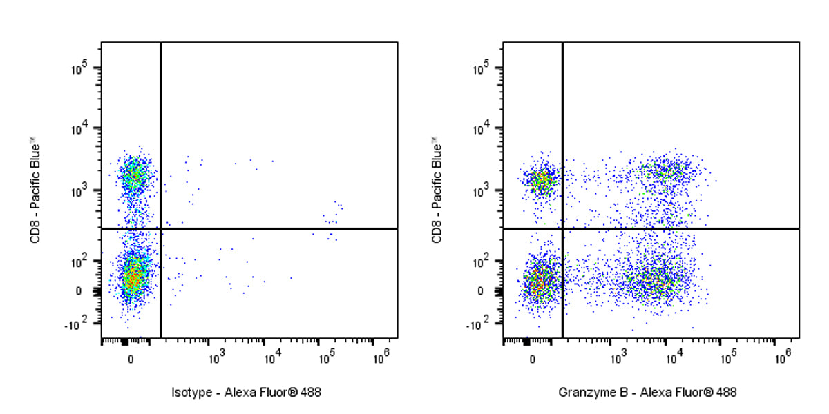 Alexa Fluor® 488 Mouse Anti-Human Granzyme B Antibody (S-3342)