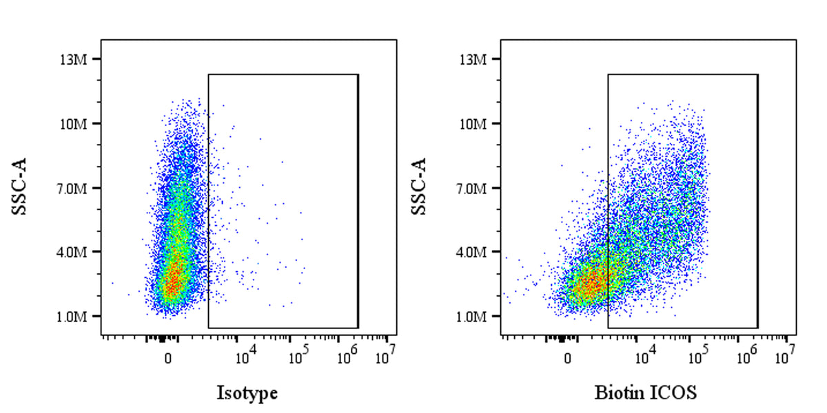 Biotin Rat Anti-Mouse ICOS Antibody (7E.17G9)