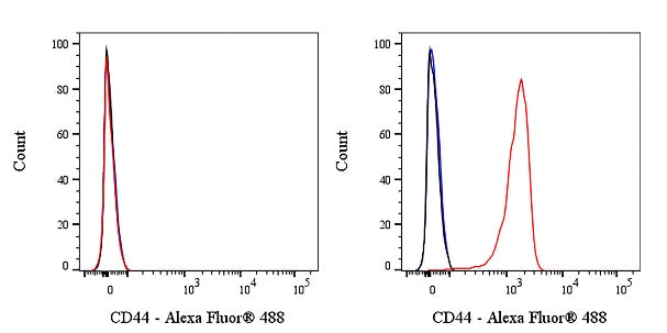 Alexa Fluor® 488 Rabbit Anti-Human CD44 Antibody (S-944-25)