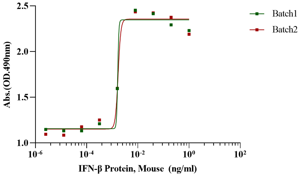 IFN-β Protein, Mouse