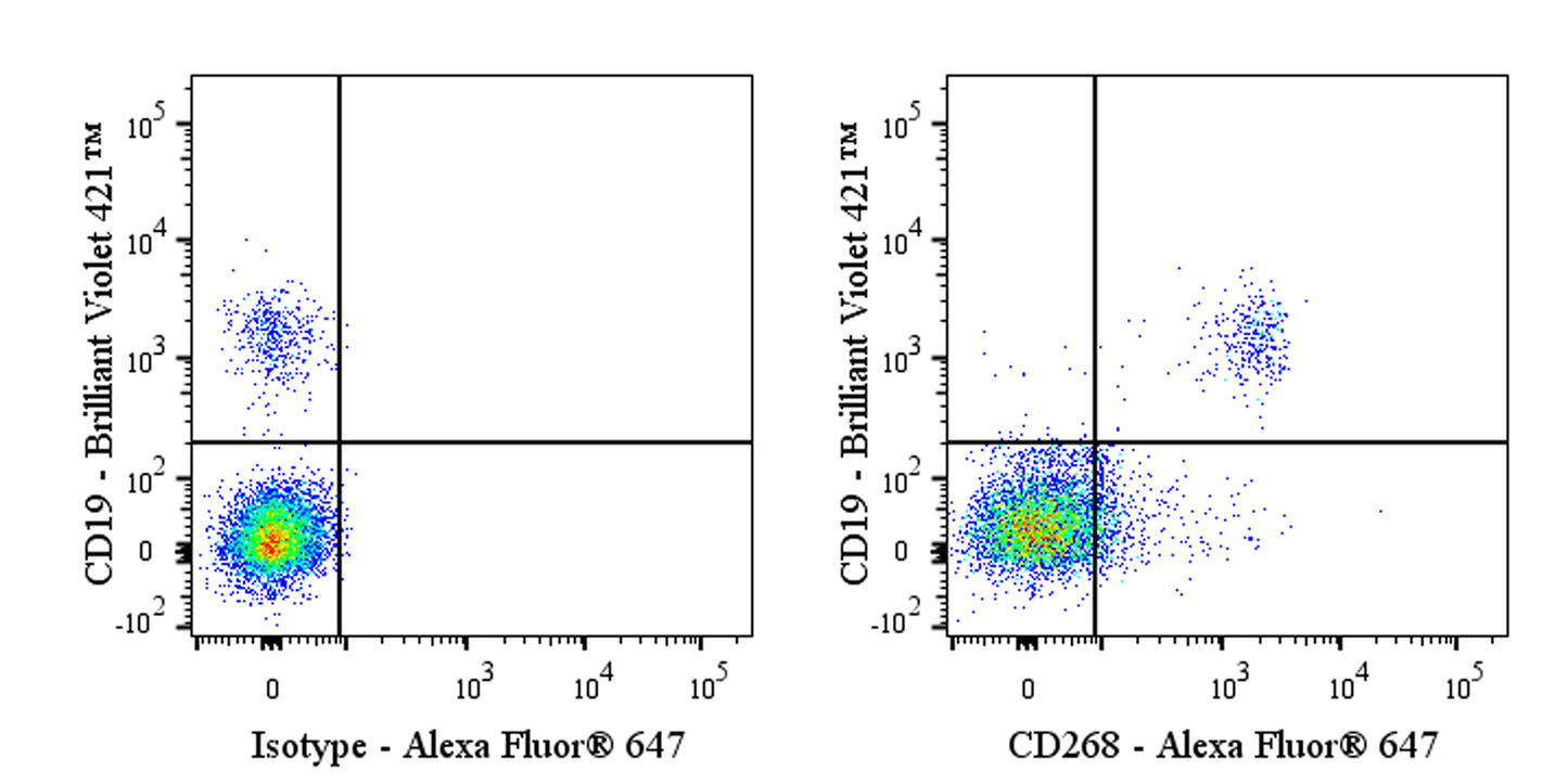 Alexa Fluor® 647 Mouse Anti-Human CD268 (BAFF Receptor) Antibody (11C1)