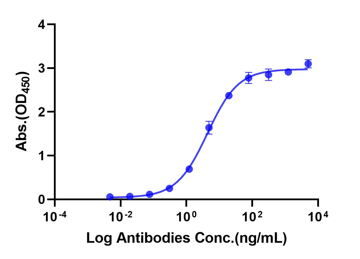 Anti-Human VEGFR-2 Monoclonal Antibody (Ramucirumab)