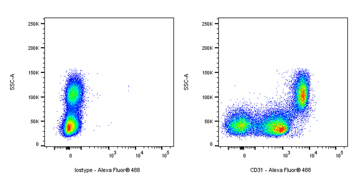 Alexa Fluor® 488 Mouse Anti-Human CD31 Antibody (S-934-6)