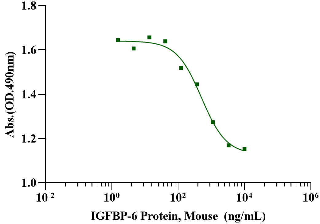 IGFBP-6 Protein, Mouse