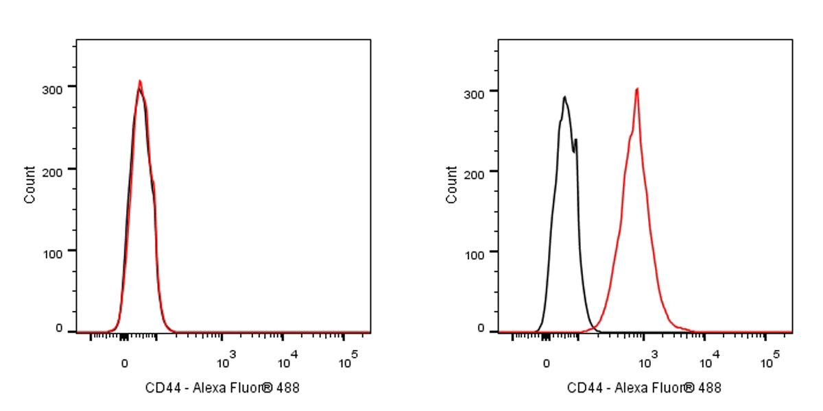 Rat Anti-Mouse CD44 Antibody (S-923-31)
