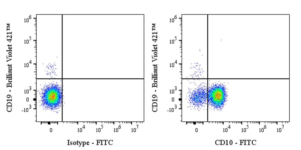 FITC Mouse Anti-Human CD10 Antibody (S-713-5)