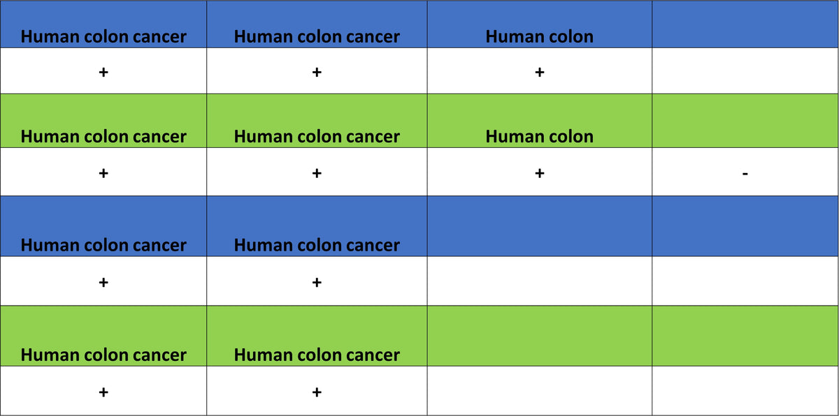 CEA/CEACAM5 Recombinant Rabbit mAb (SDT-098-63)
