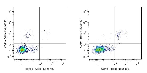 Goat Anti-Human IgG, Fcγ Fragment Specific (min X Bov, Ms, Rat Sr Prot) (Alexa Fluor® 488 Conjugate)