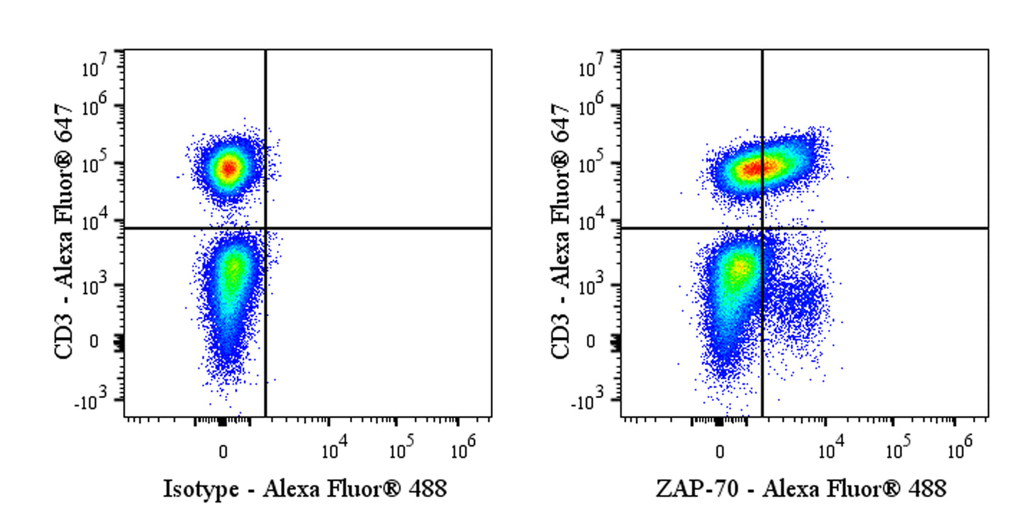 Alexa Fluor® 488 Mouse Anti-Human/Mouse ZAP-70 Antibody (1E7.2)
