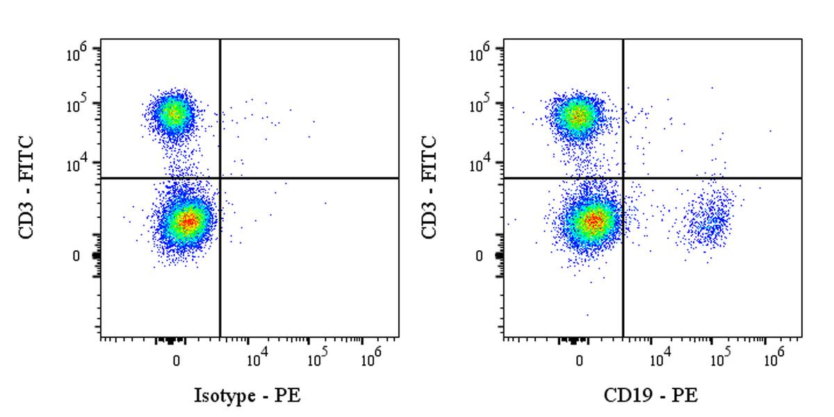 PE Mouse Anti-Human CD19 Antibody (S-1039-46)
