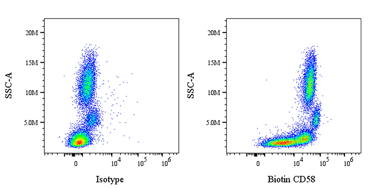 Biotin Mouse Anti-Human CD58 Antibody (S-6058)