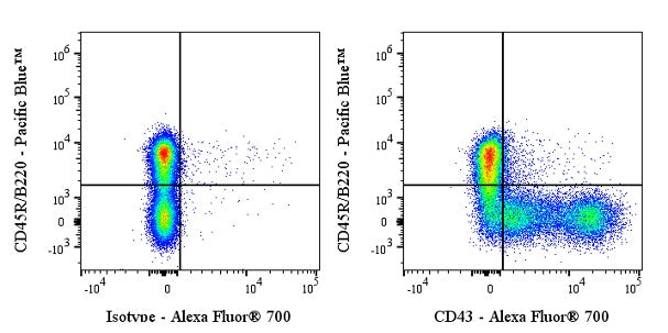 Alexa Fluor® 700 Rat Anti-Mouse CD43 Antibody (S-R588)