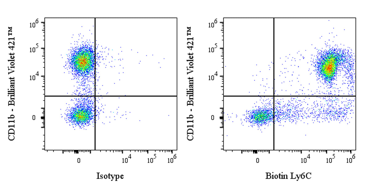 Biotin Rat Anti-Mouse Ly-6C Antibody (HK1.4)