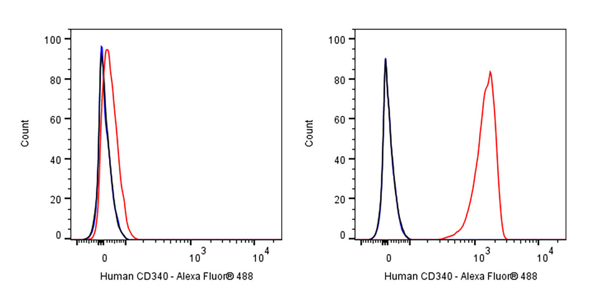 Alexa Fluor® 488 Mouse Anti-Human CD340 Antibody (S-3018)