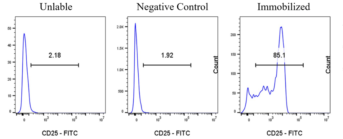 CellXViva Mouse T cell Activation Kit